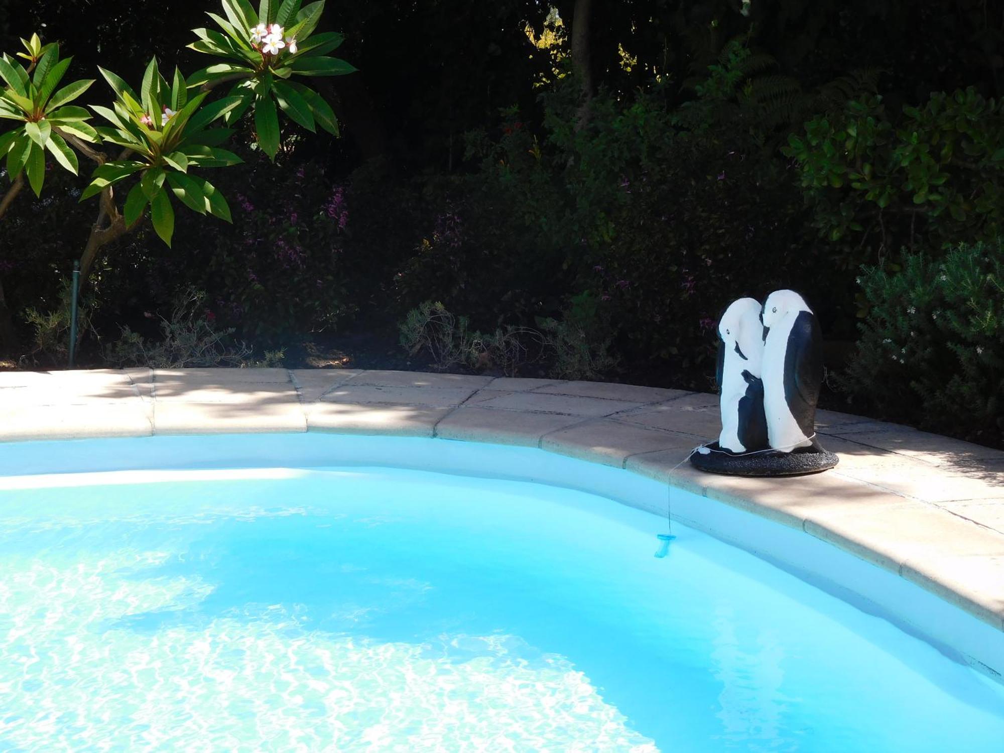 Garden- Pool Flat With Solar Electricity Somerset West Luaran gambar